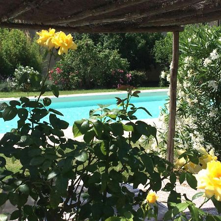 Agriturismo Lupo Vecchio Grosseto Luaran gambar