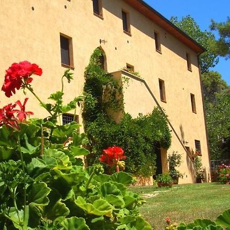 Agriturismo Lupo Vecchio Grosseto Luaran gambar