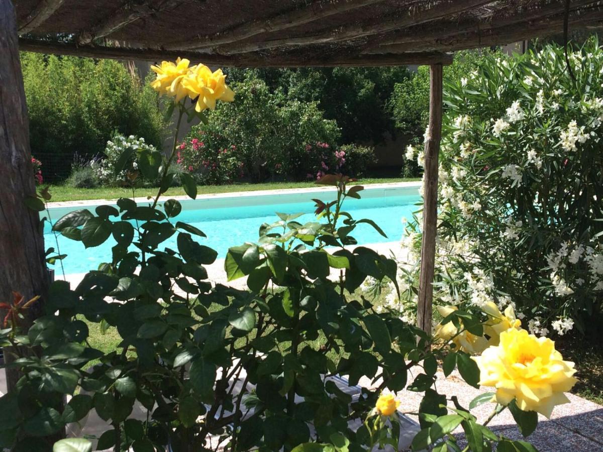 Agriturismo Lupo Vecchio Grosseto Luaran gambar
