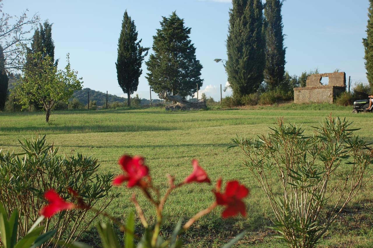 Agriturismo Lupo Vecchio Grosseto Luaran gambar