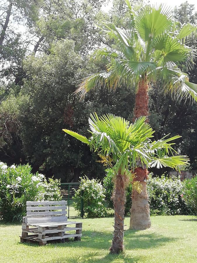 Agriturismo Lupo Vecchio Grosseto Luaran gambar