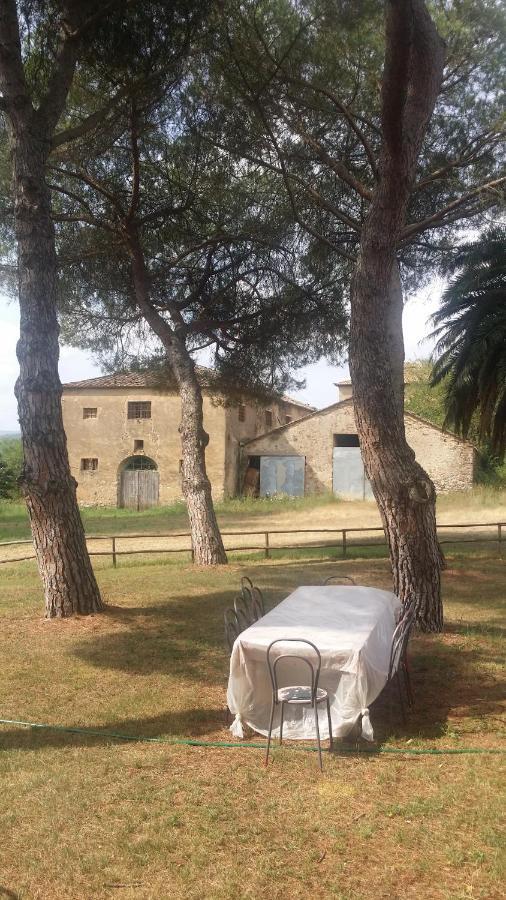 Agriturismo Lupo Vecchio Grosseto Luaran gambar